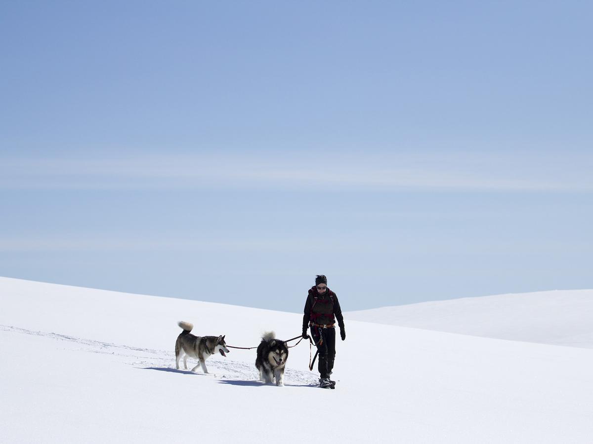 Javri Lodge Saariselkä Eksteriør billede