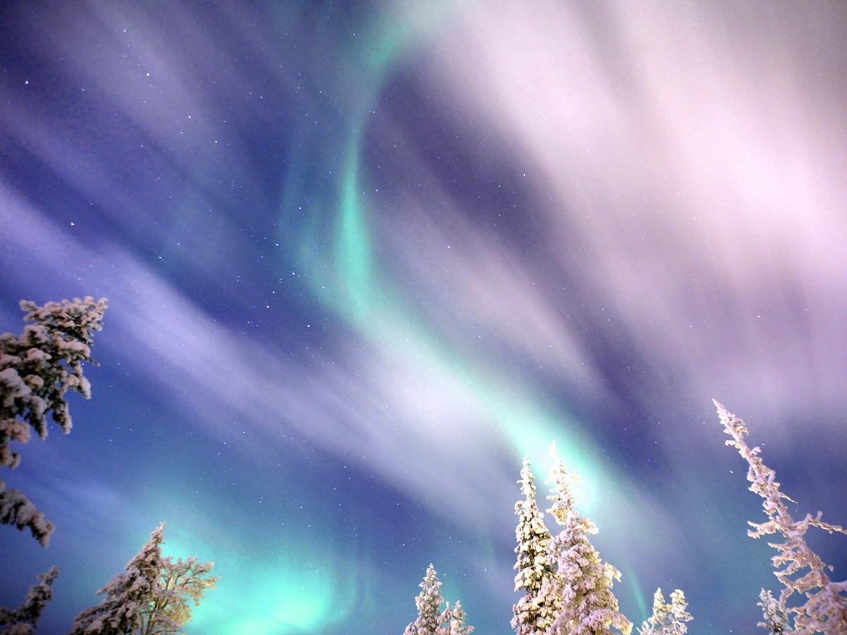 Javri Lodge Saariselkä Eksteriør billede