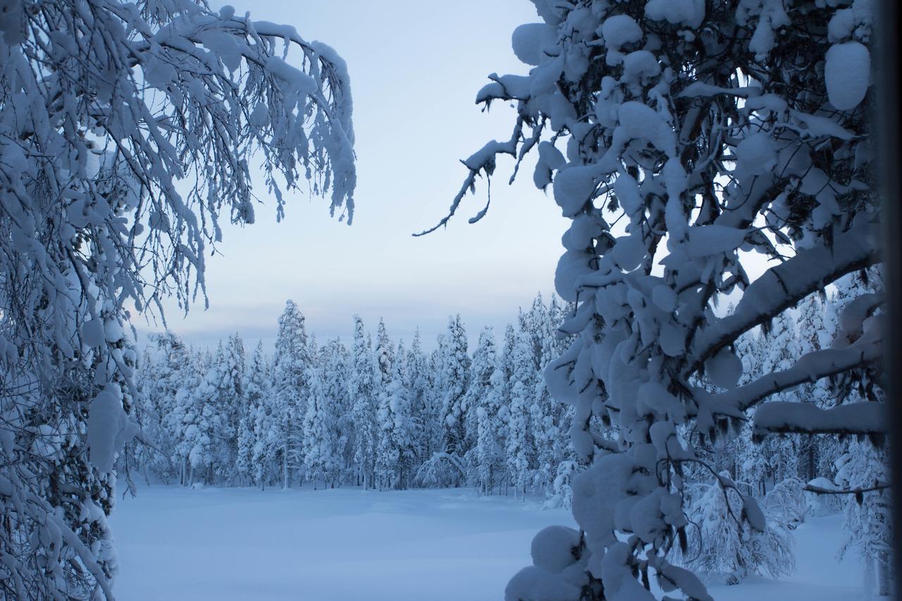 Javri Lodge Saariselkä Eksteriør billede