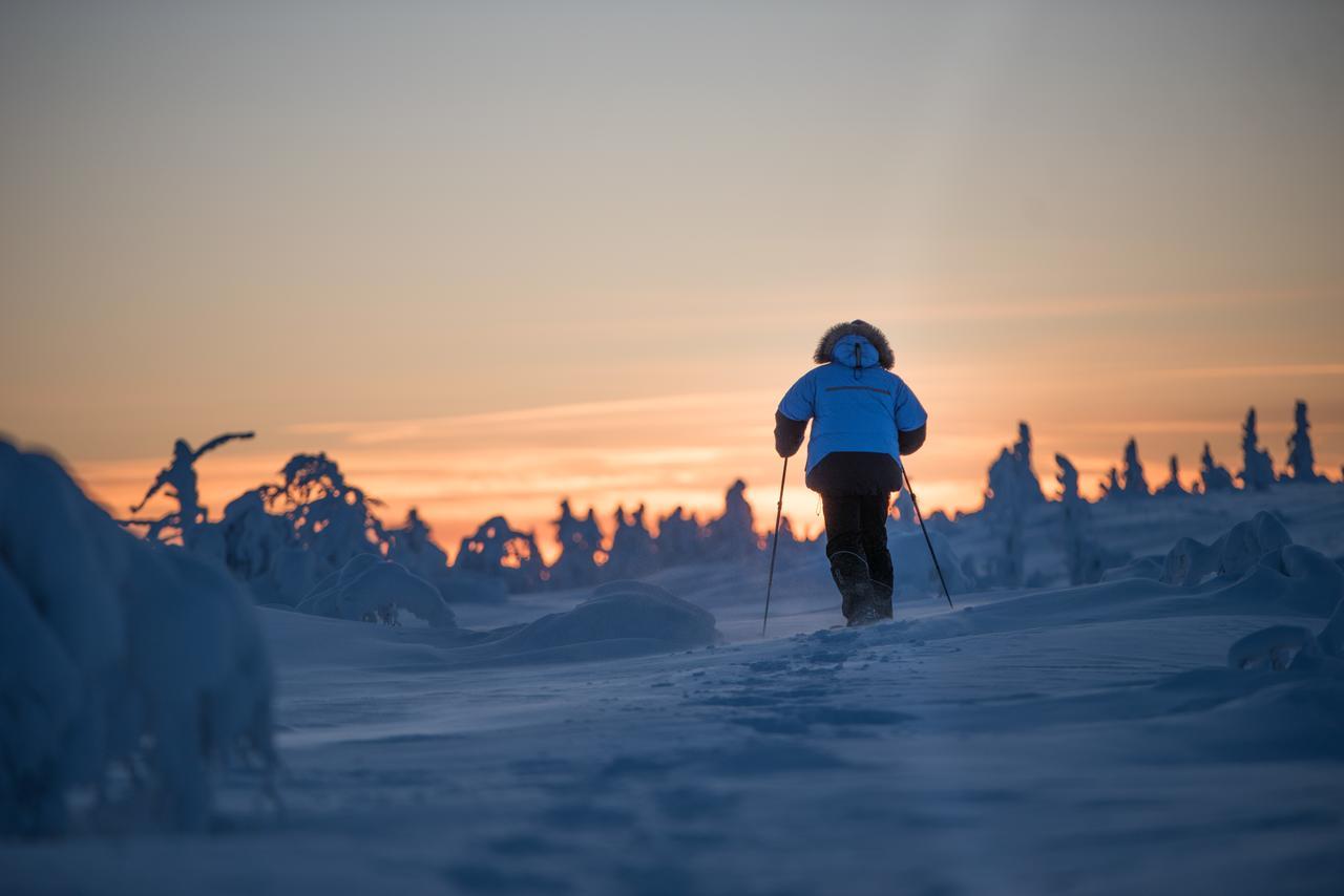 Javri Lodge Saariselkä Eksteriør billede